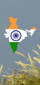 Map of India with flag colors on gray background.