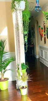 Vibrant indoor plants in a sunlit hallway with elegant decor.