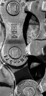 Closeup of industrial metal gears in a monochrome design.