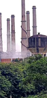 Lush green trees with industrial chimneys in background landscape.