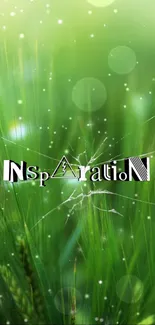 Green nature wallpaper with 'Inspiration' text.