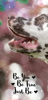 Dalmatian with motivational quote on pink bokeh background.