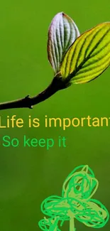 Green leaf with inspiring quote wallpaper for mobile.