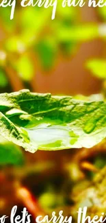 Green leaf with dew and inspirational quote.