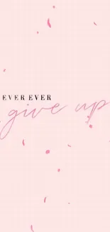 Pink wallpaper with 'Never Ever Give Up' in fancy script.