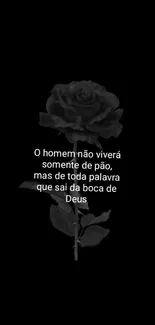 Black rose wallpaper with inspirational quote in Portuguese.