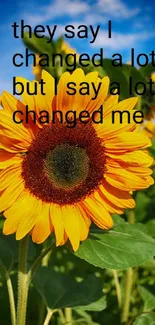 Vibrant sunflower with an inspirational quote on a sunny day.