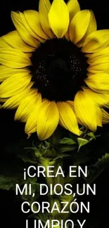 Bright yellow sunflower with inspirational quote.