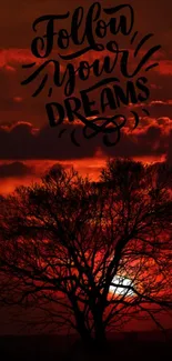 Inspirational silhouette of a tree at sunset with 'Follow Your Dreams' quote.