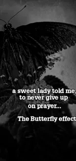 Black and white butterfly wallpaper with an inspirational quote about perseverance.