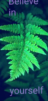 Green fern with 'Believe in yourself' text on blue background.