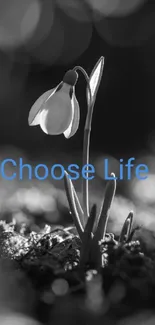 Gray wallpaper with flower and 'Choose Life' text.