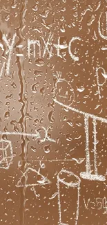 Child looks at mathematical formulas on a brown chalkboard.