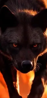 A fierce wolf against a fiery background.