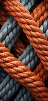 Interwoven orange and grey ropes forming a textured pattern.