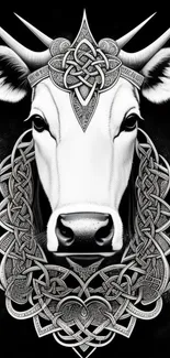 Intricate Celtic bull with mystical black and white design.