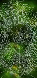 Intricate spiderweb covered in dew set against a green backdrop.