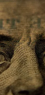 Close-up of a dollar bill showcasing detailed textures.