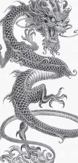 Intricate gray dragon artwork, detailed and artistic, on a light background.