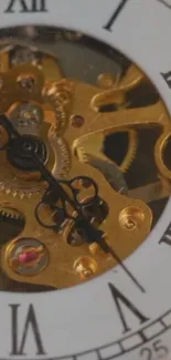 Close-up of a classic clock's gears and Roman numeral face.