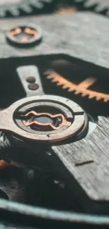 Close-up of intricate metal gear mechanism design.