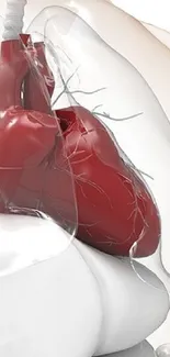 Detailed heart anatomy illustration.
