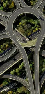 Aerial view of complex highway interchange with greenery.