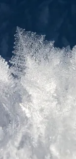 Intricate ice crystals in blue and white tones, perfect for mobile wallpaper.