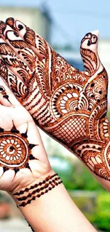 Intricate mehndi designs on hands with henna art