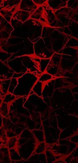 Intricate red abstract art mobile wallpaper.