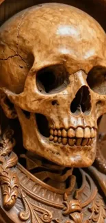 Intricate carved skull with gothic art details.