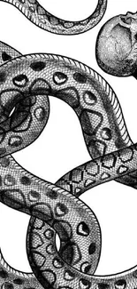 Intricate black and white snake entwined with a skull.