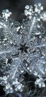 Close-up view of a detailed snowflake with icy patterns.