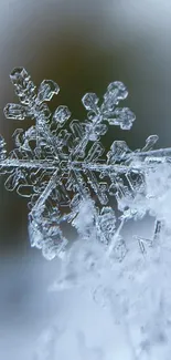 Close-up of an intricate snowflake with a light gray background.