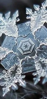 Close-up of an intricate snowflake with a detailed frosty pattern.