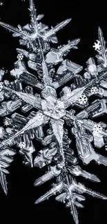 Intricate silver snowflake on black background.