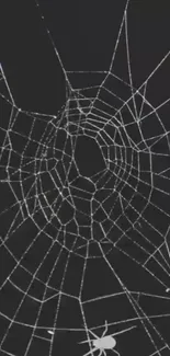 Intricate spider web on black background wallpaper.