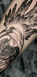 Black and white bird tattoo with detailed feathers on the arm.