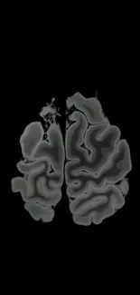 Abstract black and gray brain art wallpaper.