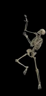 Artistic skeleton on black background wallpaper.