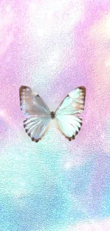 Iridescent butterfly on pastel background wallpaper.