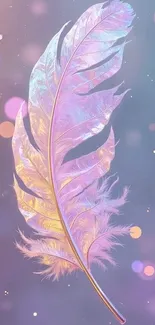 Iridescent feather with dreamy bokeh lights.