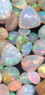 Vibrant iridescent opal gemstones on display.