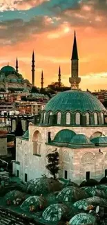 Istanbul skyline with sunset hues and historic architecture.