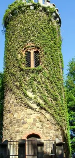 Ivy-covered stone tower in lush green environment.