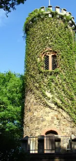 Ivy-clad stone tower set in lush green forest with a clear blue sky above.