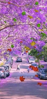 Street lined with blooming jacaranda trees forming a purple canopy above.