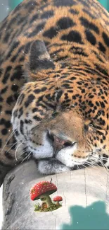 Majestic jaguar resting on a log with a forest backdrop.