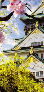 Japanese castle with cherry blossoms against a bright blue sky.