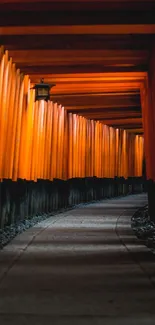 A serene torii gate pathway in Japan with glowing orange tones.